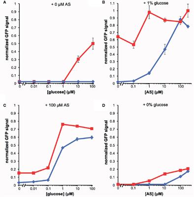 Mapping Reaction-Diffusion Networks at the Plant Wound Site With Pathogens